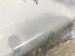 �I�[���y�C���g surftech �_�O�n�E�g 4